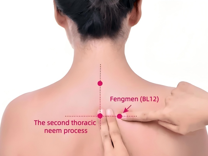 Cold and Flu Moxibustion Therapy: Fengmen(BL12)