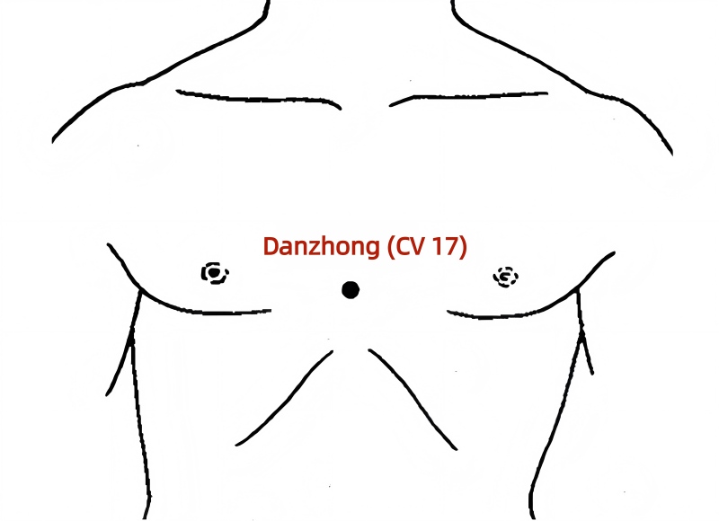 Danzhong(CV17)