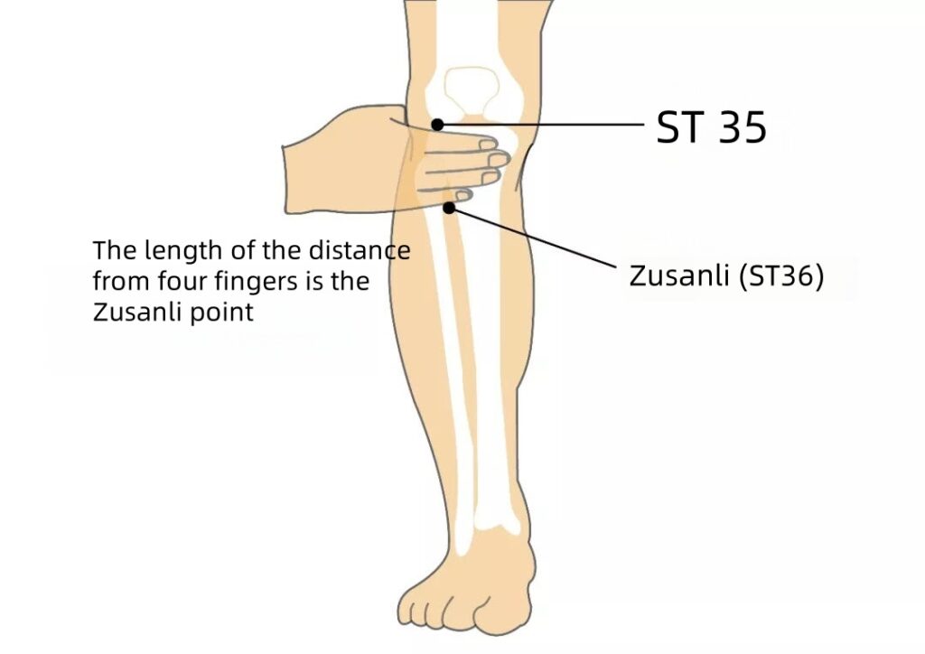 Benefits of moxibustion at the foot-sanli point