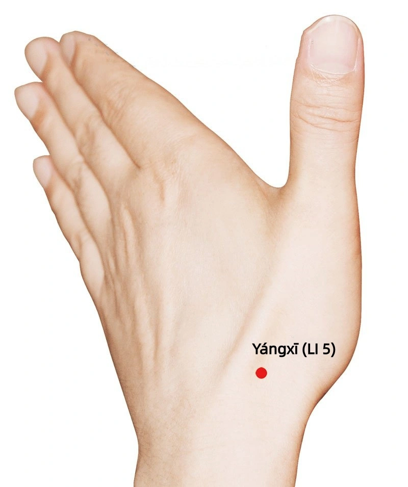 natural therapy for arthritis pain